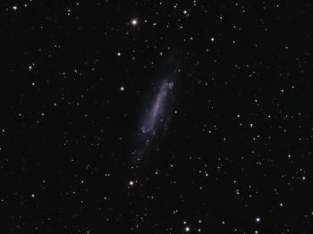 NGC4236 as imaged on 8, 9, 24 and 28 October 2021.